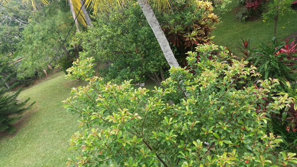 4 Seasons Guesthouse Hikkaduwa Exterior photo
