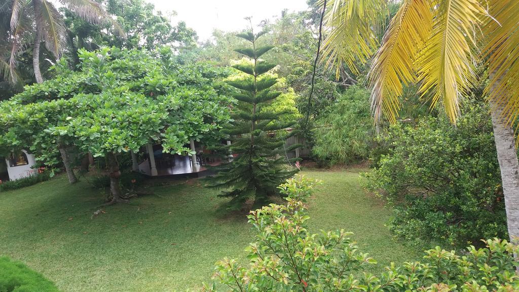 4 Seasons Guesthouse Hikkaduwa Exterior photo