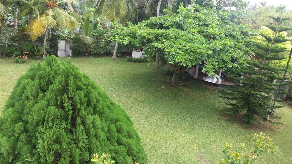 4 Seasons Guesthouse Hikkaduwa Exterior photo