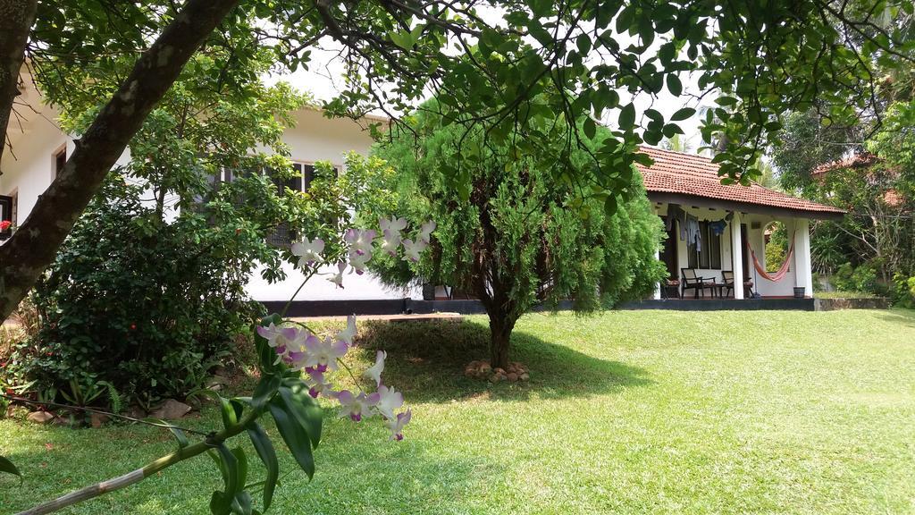4 Seasons Guesthouse Hikkaduwa Exterior photo